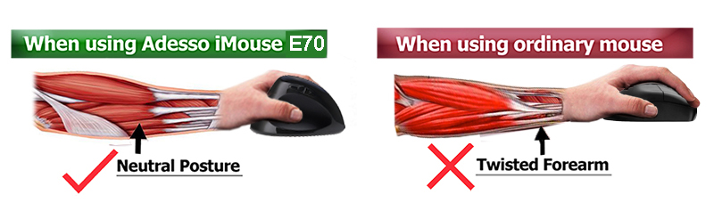 E70 mouse-posture-web