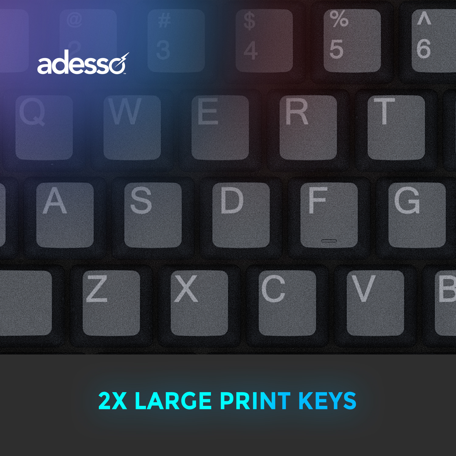 EasyTouch 130 2X large print copy