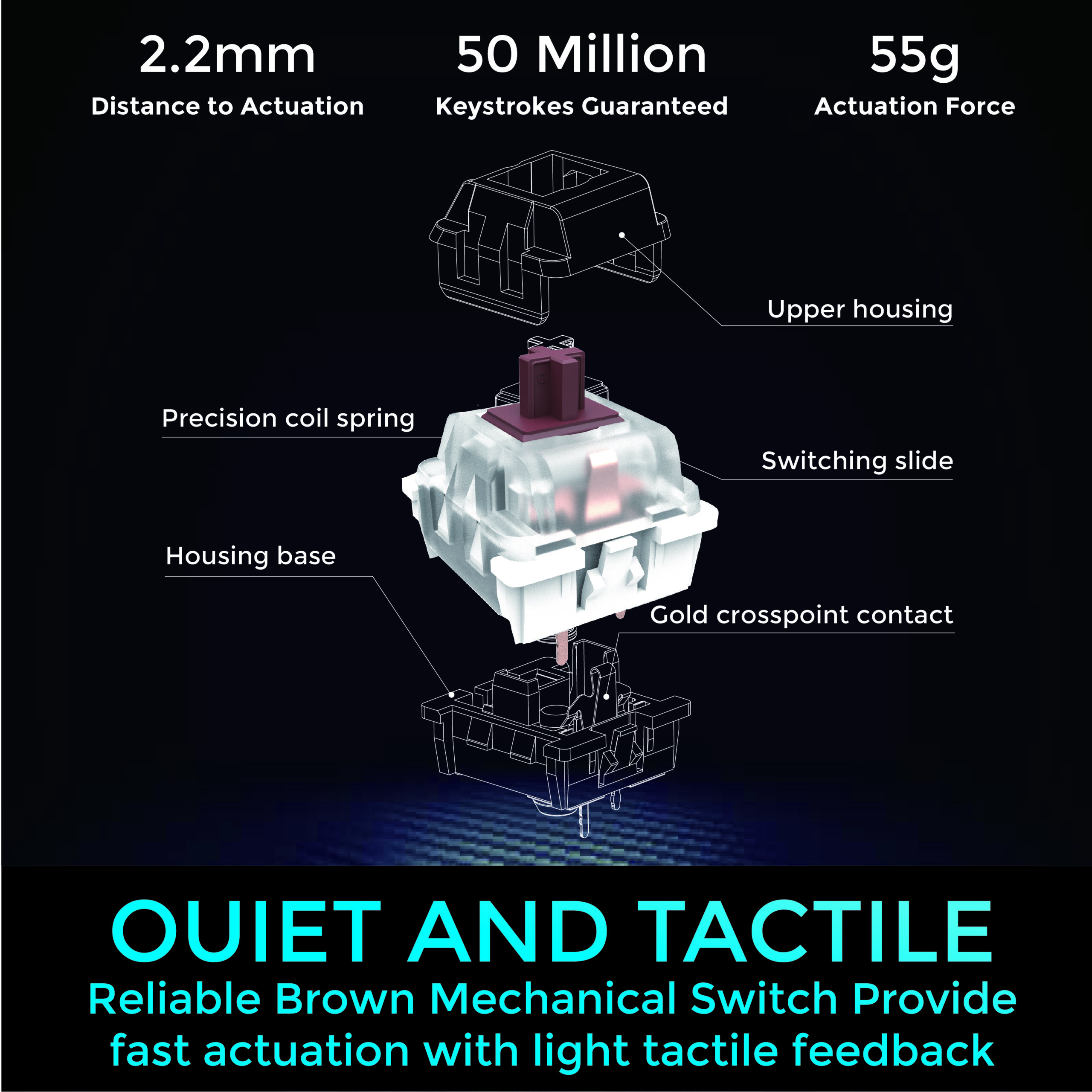 EasyTouch 130 Brown Key Switche2-02