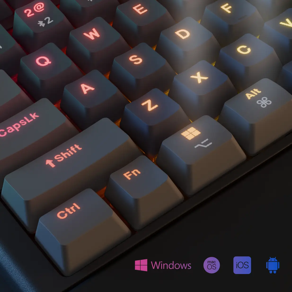 Multi-Platform Support